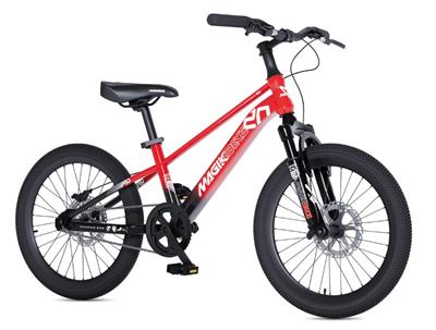 Bici MTB Thuneder misura 20..