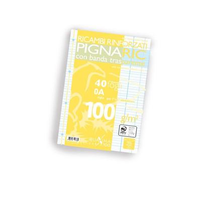 Ricambi Bianchi A4 Pignaric Rinforzati Ff 40 Gr 100 A (Rigo 1° E