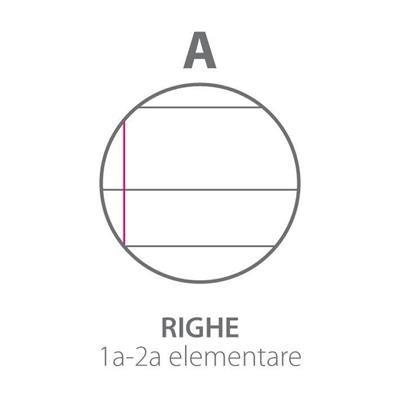 Ricambi Bianchi A4 Pignaric Rinforzati Ff 40 Gr 100 A (Rigo 1° E