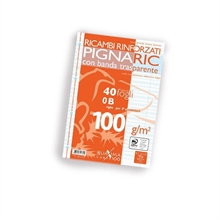 Ricambi Bianchi A4 Pignaric Rinforzati Ff 40 Gr 100 B (Rigo 3° E