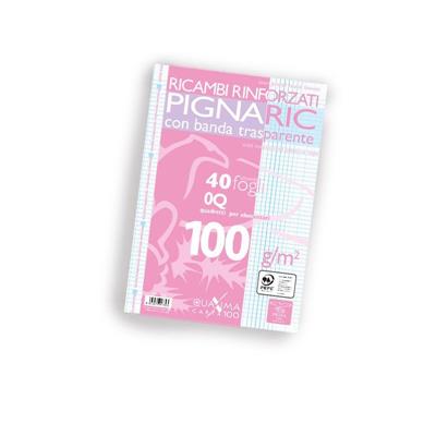 Ricambi Bianchi A4 Pignaric Rinforzati Ff 40 Gr 100 Q (Quadri Co