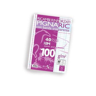 Ricambi Bianchi A4 Pignaric Rinforzati Ff 40 Gr 100 10Mm (Quadre