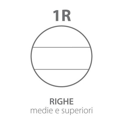 Ricambi Bianchi A4 Pignaric Rinforzati Ff 40 Gr 100 1R (Rigo Sen