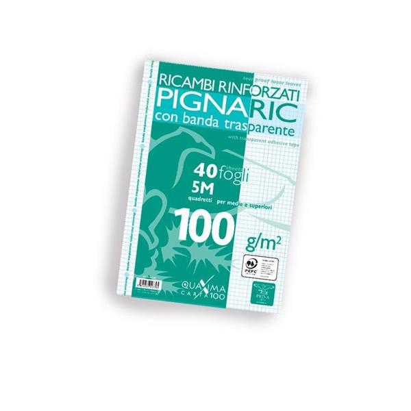 Ricambi Bianchi A4 Pignaric Rinforzati Ff 40 Gr 100 5Mm (Quadri